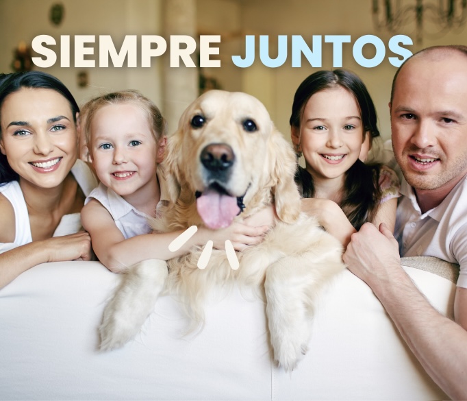 Seguros de Inversiones